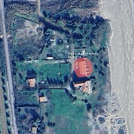 Torre S.Antonio Daire Santa Caterina dello Ionio Dış mekan fotoğraf